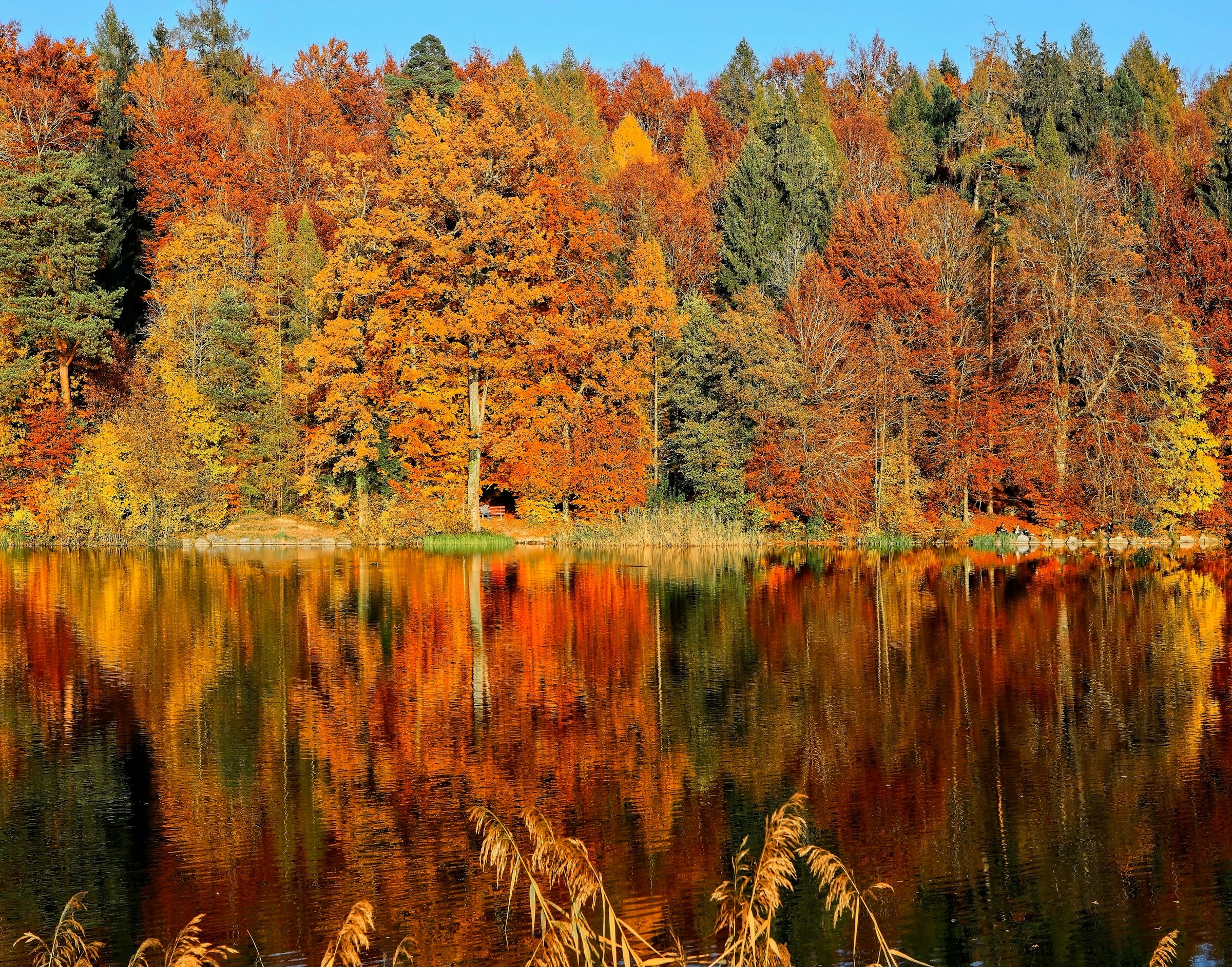 Autumn lake — still water with reflected fall foliage